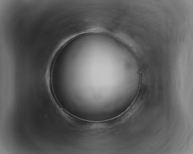 X0000102371430200808011504