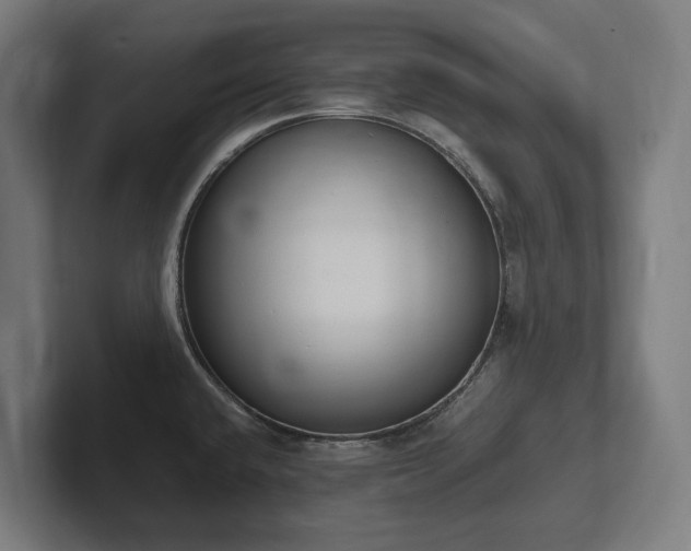 X0000102371432200808011504