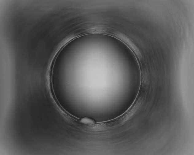 X0000102371434200808011504
