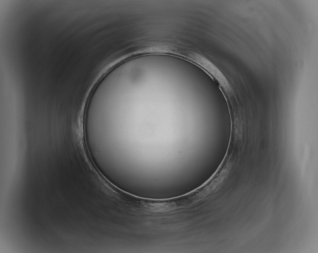 X0000102371436200808011504