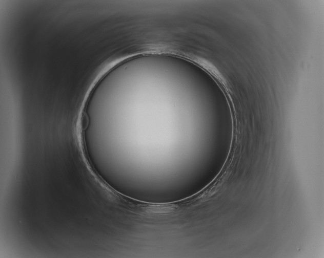 X0000102371440200808011504