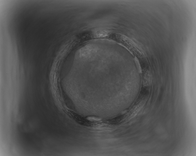 X0000102371441200808011503