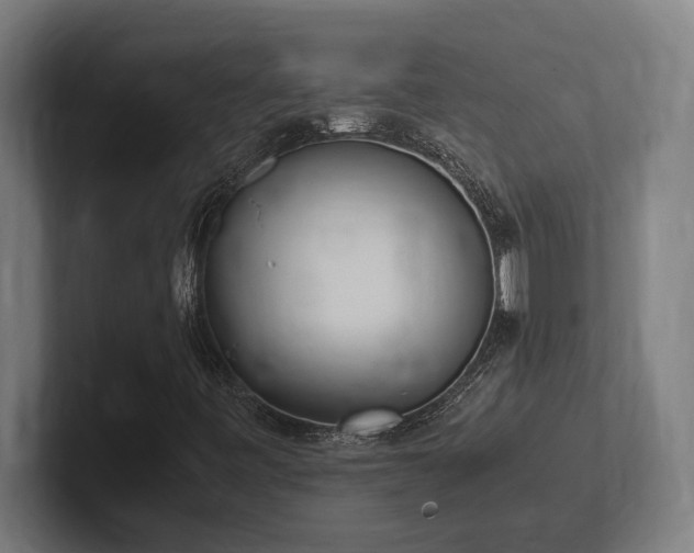 X0000102371443200808011503