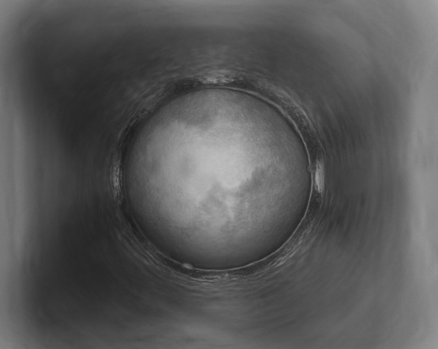 X0000102371444200808011503
