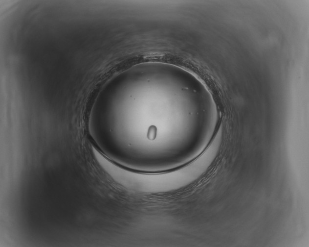 X0000102371445200808011503