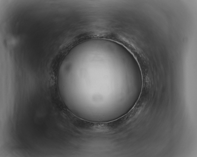 X0000102371447200808011503
