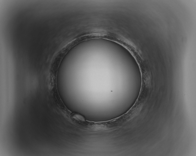 X0000102371448200808011503