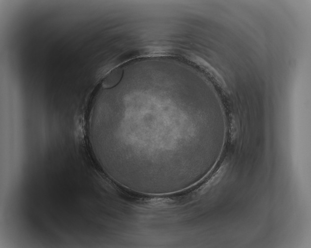 X0000102371449200808011503