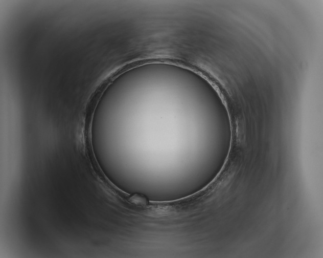 X0000102371452200808011503
