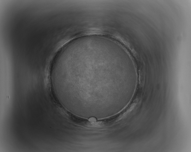 X0000102371453200808011503