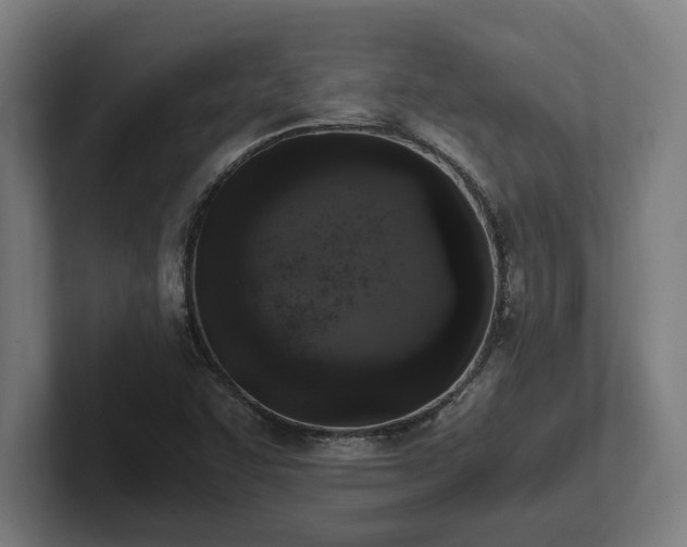 X0000102371455200808011503
