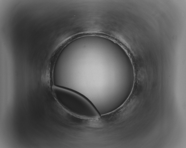 X0000102371456200808011503