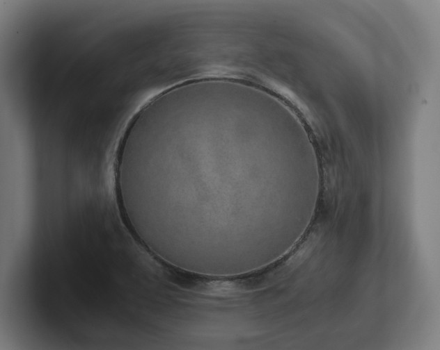 X0000102371463200808011503