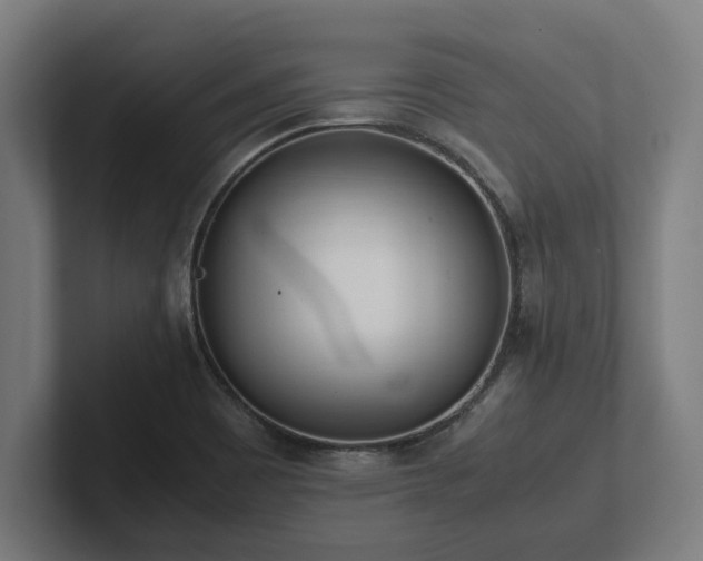 X0000102371465200808011503