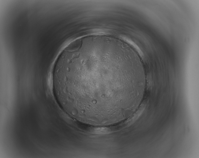 X0000102371467200808011503