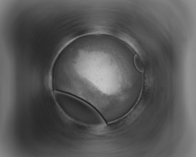 X0000102371468200808011503