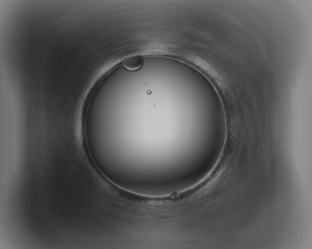 X0000102371469200808011503