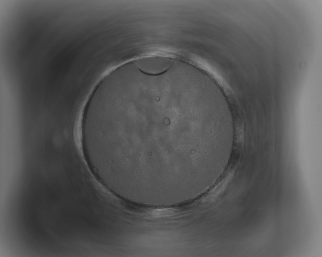 X0000102371471200808011503