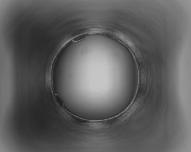 X0000102371473200808011503