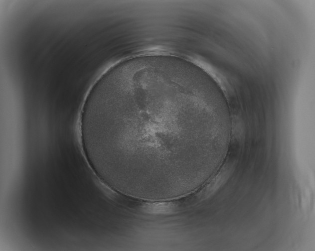 X0000102371474200808011503