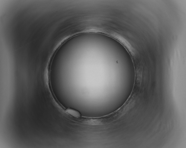 X0000102371476200808011503