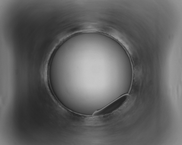 X0000102371477200808011503