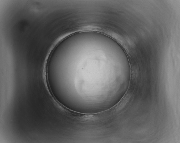 X0000102371478200808011503