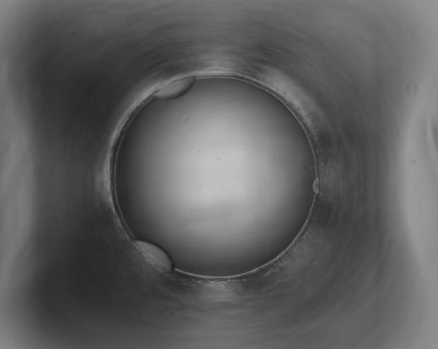X0000102371480200808011503