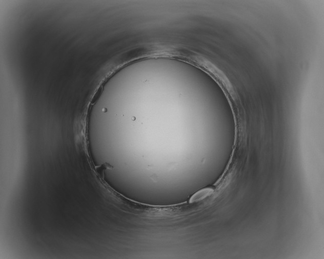 X0000102371481200808011503