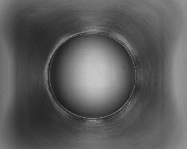 X0000102371483200808011503