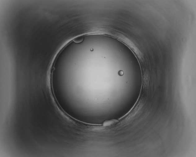 X0000102371484200808011503