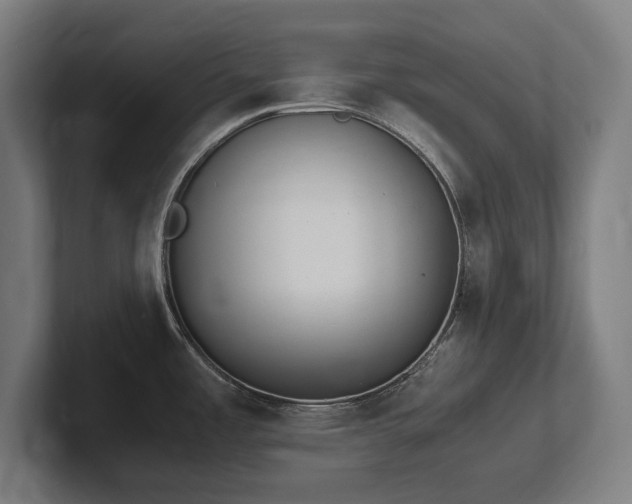 X0000102371485200808011503