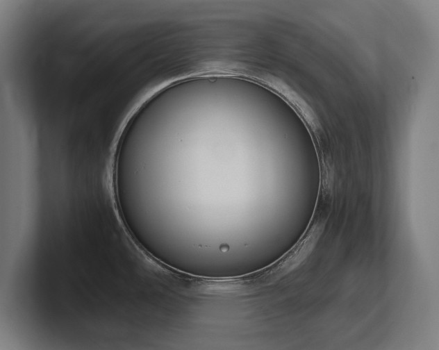 X0000102371486200808011503