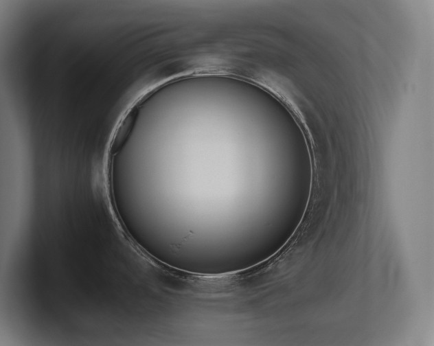 X0000102371488200808011503