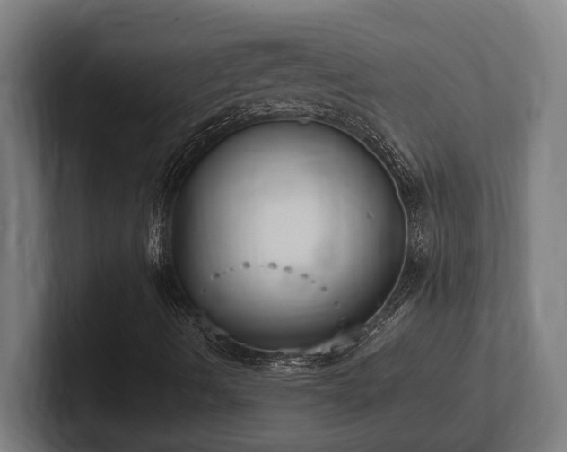 X0000102371490200808011502