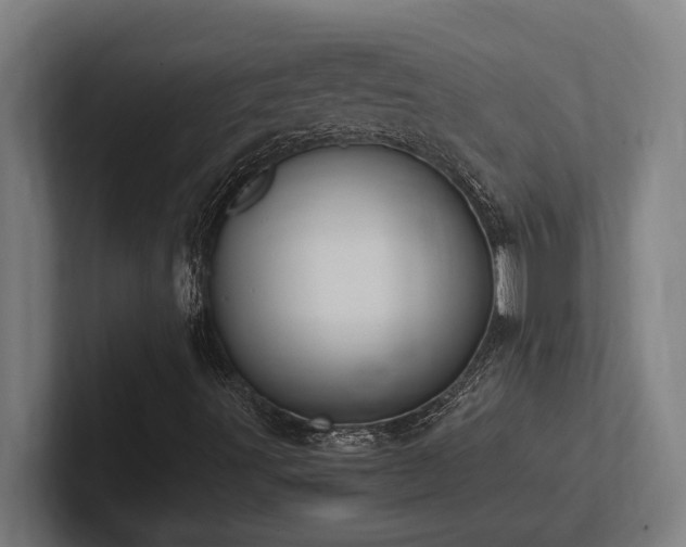 X0000102371491200808011502