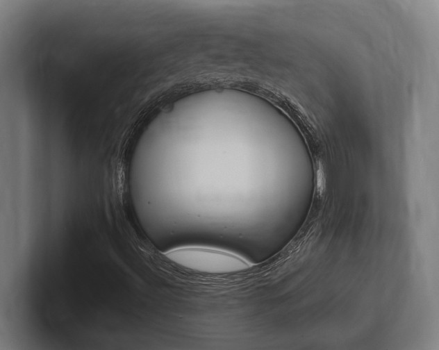 X0000102371492200808011502
