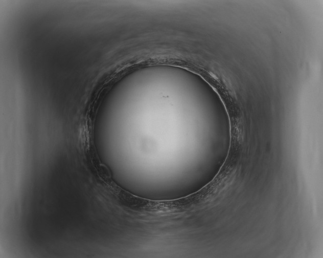 X0000102371493200808011502