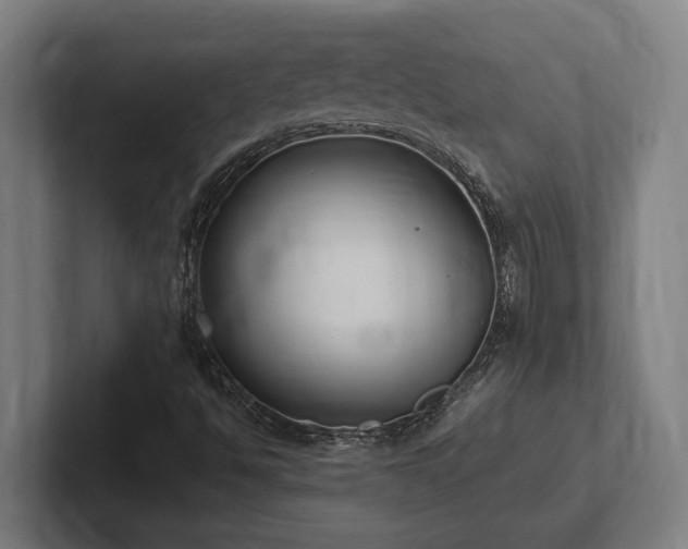 X0000102371494200808011502