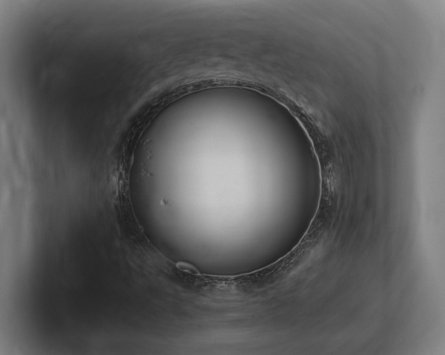 X0000102371495200808011502