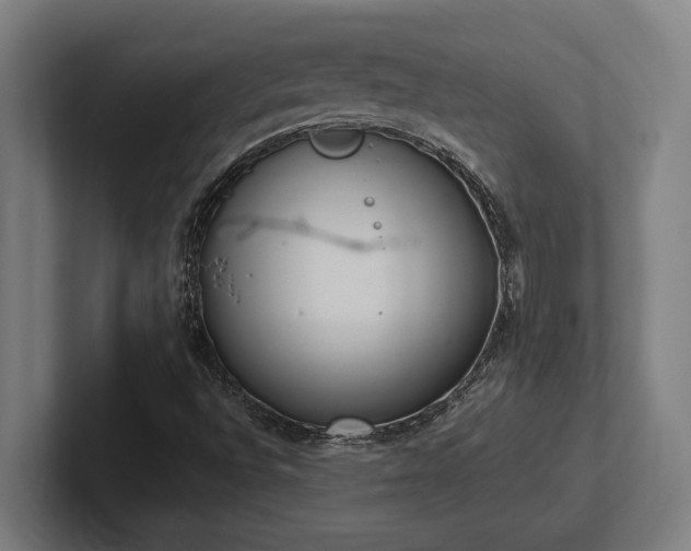 X0000102371496200808011502