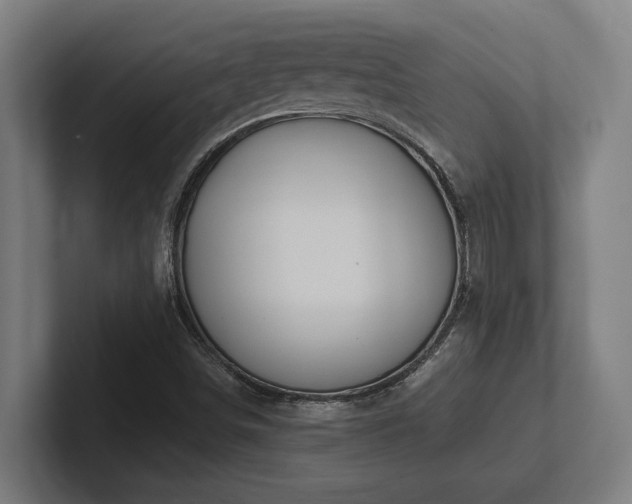 X0000102371498200808011502