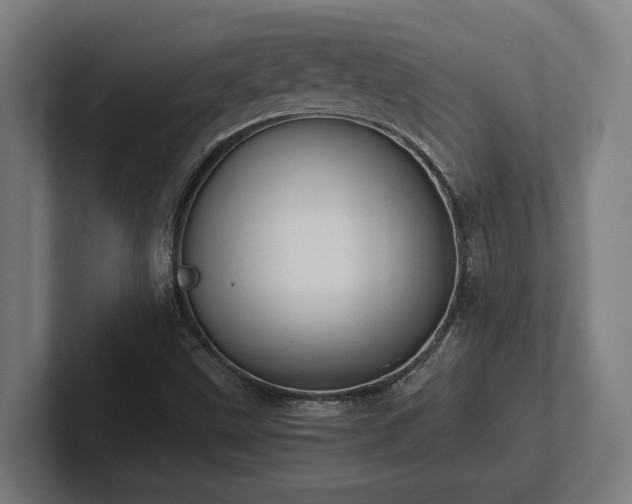 X0000102371499200808011502