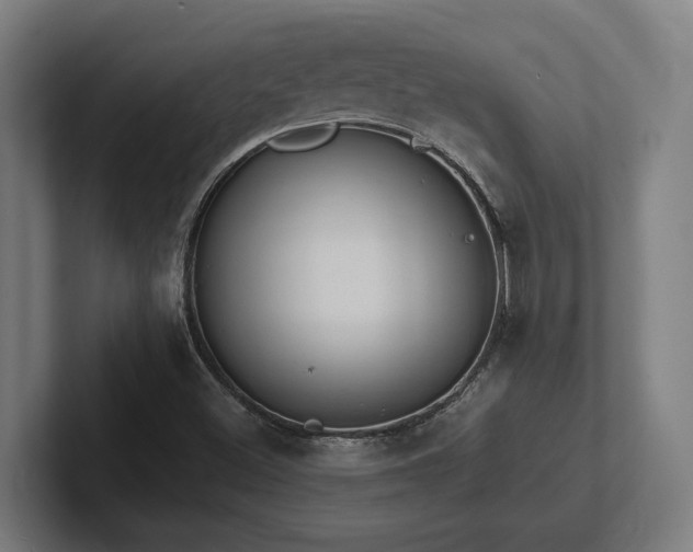 X0000102371500200808011502
