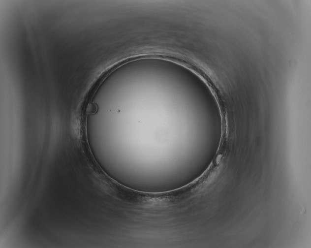X0000102371501200808011502