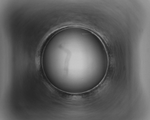X0000102371503200808011502