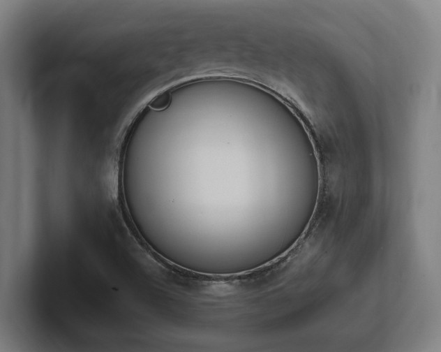 X0000102371504200808011502