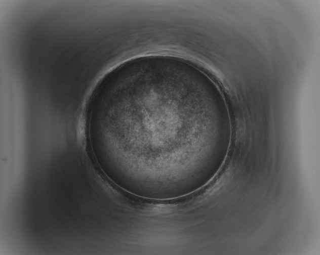 X0000102371506200808011502