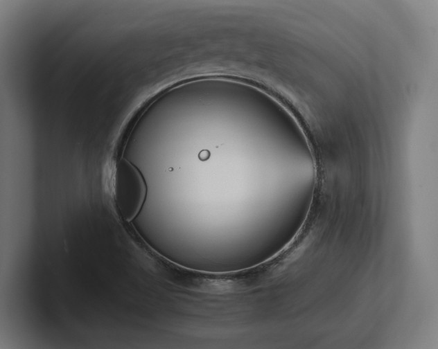 X0000102371509200808011502