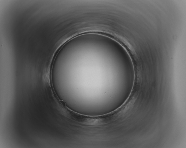 X0000102371513200808011502